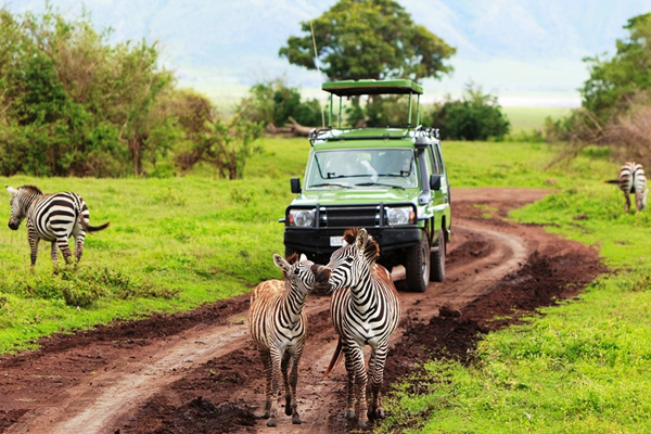 Watamu - Kenya Tour Package