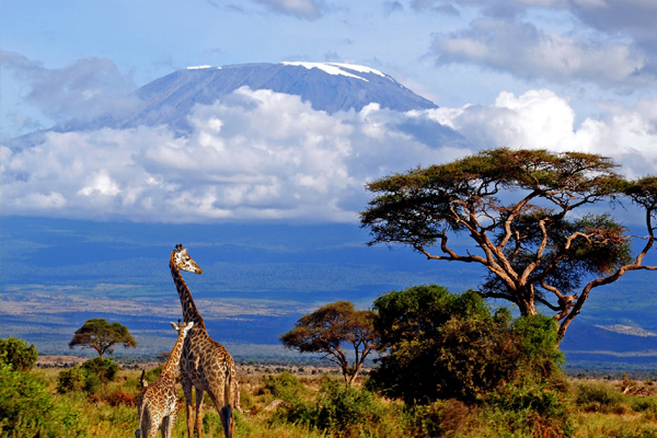 Kenya Tour Package