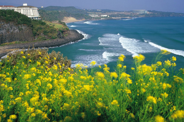 Korea Tour Package - 3 Nights