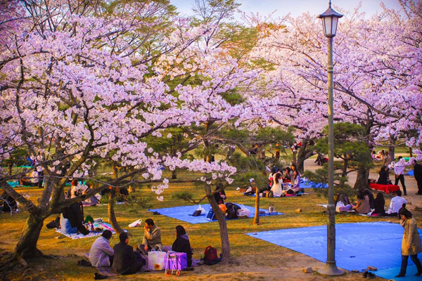 Exotic Korea Tour Package - 7 Nights