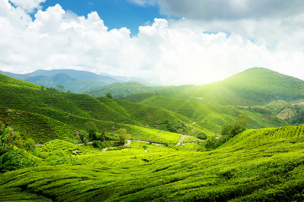 Exotic Sri Lanka Tour Package - 8 Nights