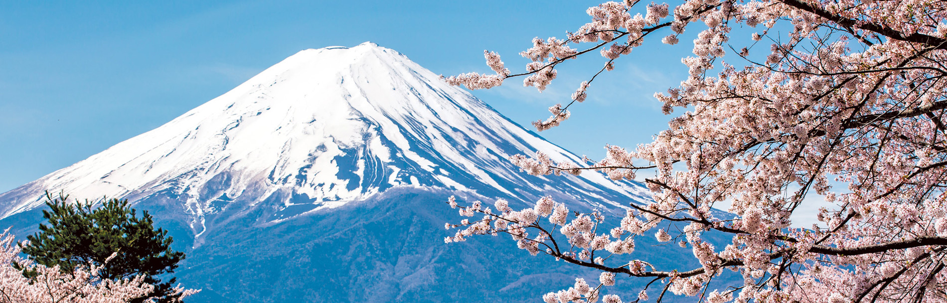 Japan Tour Packages