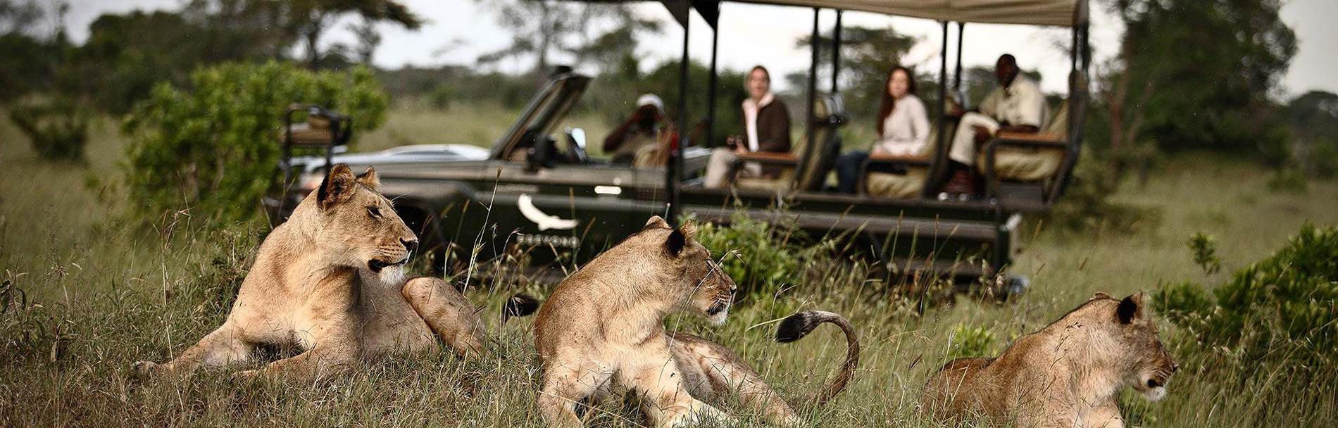 Kenya Tour Packages