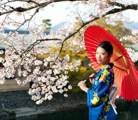 Japan Tour Package - 5 Nights